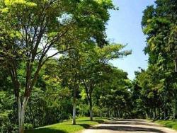 #150603SH - Terreno em condomínio para Venda em Cajamar - SP