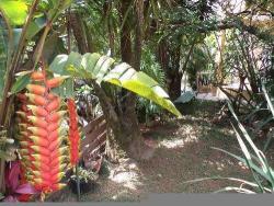 #71056C - Chácara para Venda em Jundiaí - SP - 1