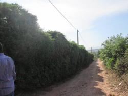 Área para Incorporação para Venda em Itupeva - 4